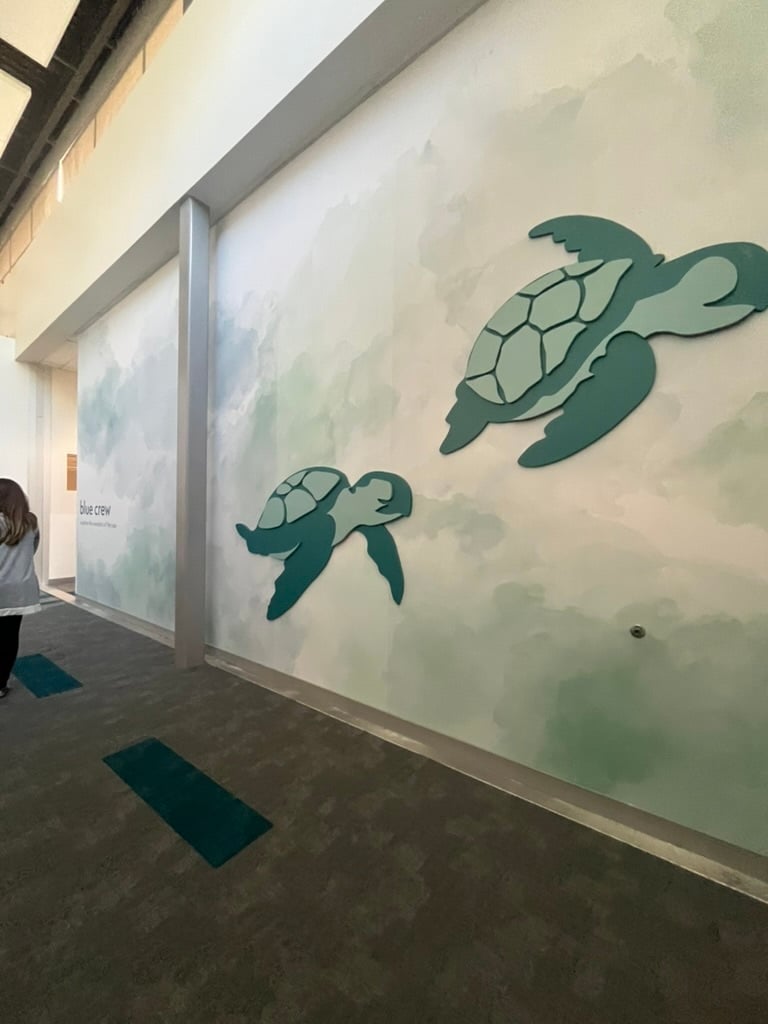 D9005481-2B28-4526-AEB9-2D0DA622B7B8_1_105_c